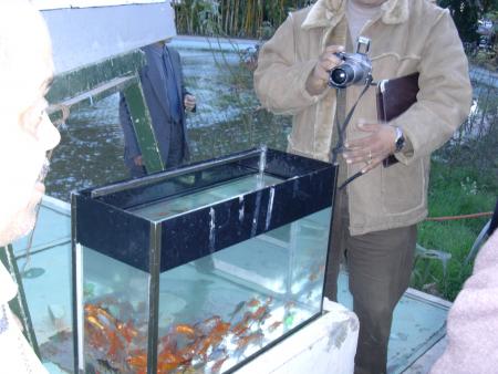 AQUARIUM